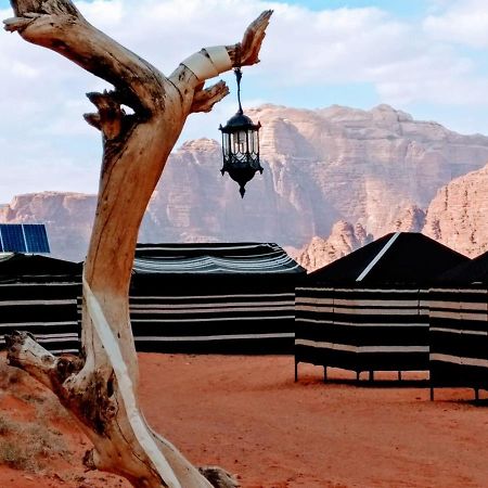 Desert Tree Camp&Tours Вади-Рам Экстерьер фото